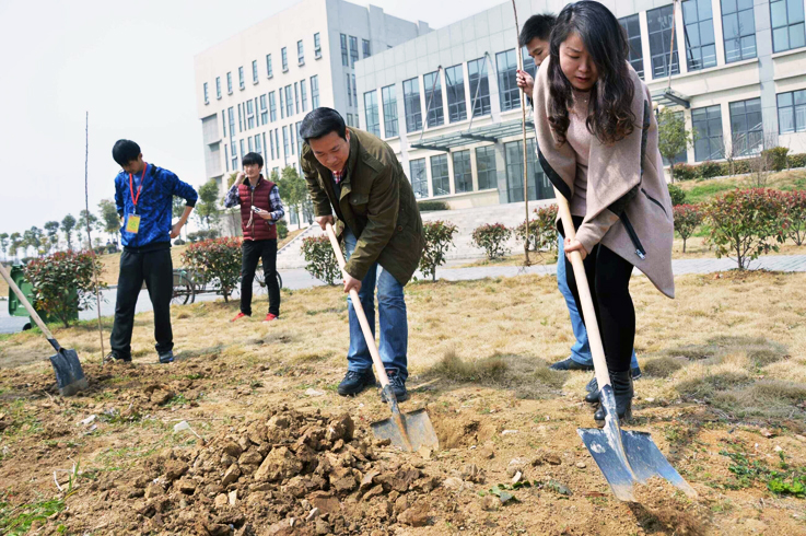 全校师生、教职工参与植树活动